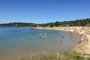 Arbousiers - Image 3