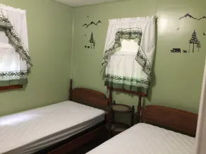 Escapade romantique Cabine très privée avec vue sur le lac Sawyer / WIFI et télévision par câble - Image 5