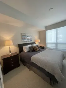 Luxurious Fully Furnished Move-In-Ready in Luxurious Apartment - Image 5