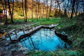 Wellness & Relax Apartment Lilly, Trebnje, Slovenia - Image 5