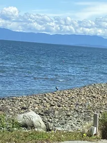 Deep Bay Ocean Front Cottage - Private Getaway with  Hot Tub - Image 3