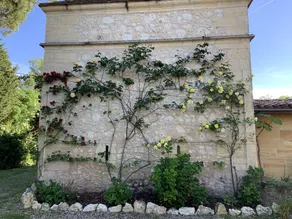 Le Pigeonnier  - Image 5