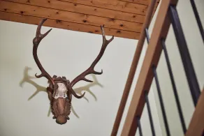 Fantastic, cozy apartment in the Montafon - Image 2