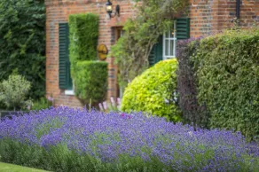 Melbourne Lodge - Image 5