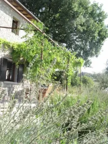 Landsted med pool, stor terrasse, figneroliven og lavendel, fantastisk udsigt - Image 4