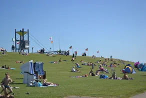 Friedrichskoog-Spitze, vue sur les digues, endroit calme, courtes distances, familial - Image 3