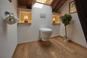 Exclusive apartment at the Brandis estate - Image 3