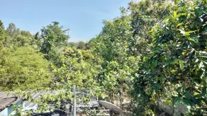 Aamy's Homestay - Image 5