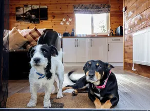STAG LODGE POD, pet friendly, with hot tub in Llanfair Caereinion - Image 2