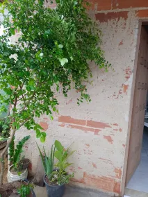 Petite maison rustique - Image 5