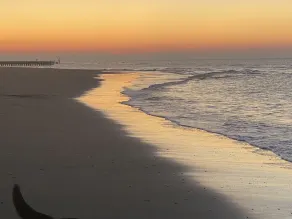 Casa de férias Vrouwenpolder na vila e praia a 15 minutos a pé! - Image 3
