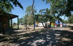 Studio gemütlich und charmant 2p | Wi-Fi-Gratuit, sur le Lac! - Image 5