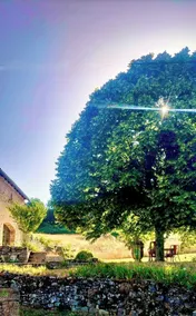 Typisches Landhaus - ALZON - Image 5