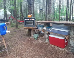 Glamping in the magical forest of Elfendahl. - Image 4