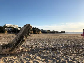 Maison Entiere 200 M² 12/15 Pers. Piscine Privee- 400m Plage Royan Parc - Calme - Image 3
