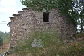 En kokon i naturen - Image 4