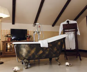 Hermitage Hotel - Image 4