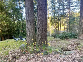 Dragonfly Cottage - 10 minute walk from ferry! - Image 5