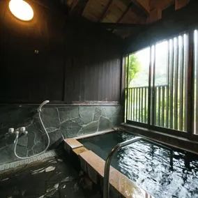 Hosenji Onsen Ryusenkaku - Image 3