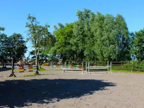 Tetenshof para os amantes de cavalos - Ferienwohnung Tetenshof - Image 2