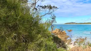 'Amaroo' su Candlagan - Image 4