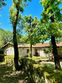 The butterflies of Quercy - Image 5