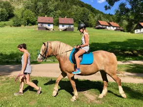 Vacation park on a south-facing slope, horses, swimming pool, restaurant and playground - Image 3