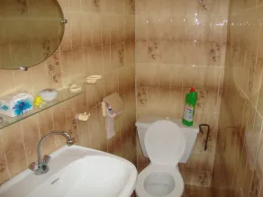 OLD VILLAGE HOUSE - Image 2