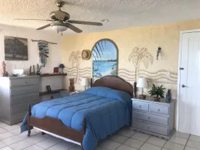 Penthouse en bord de mer sur Chicxulub / Progreso - Image 5