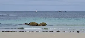 Petite Maison Proche Bourg et à 4km des Plages de Sable Blanc - Image 3