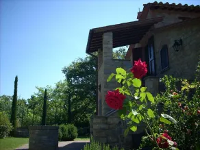 Casa / villa / chalet - Montegabbione - Image 5