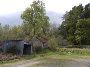 Wisdomhowe er et traditionelt sommerhus omgivet af en bjergskov. - Image 5