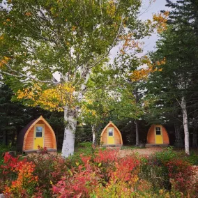 Mountain Ash Camping Pod - Image 3
