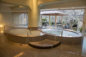 Kinugawa Hotel Mikazuki - Image 4