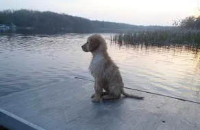 Life is Better by the Water at Slayton Shores - Image 2