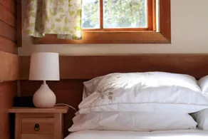 The Cabin-Wake up to the sound of native birdlife. - Image 5