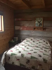Rustic cabin in the woods - Image 5