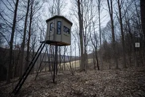 #6Cabins cottages,fishing,creeks, ponds,nature trails,anniversaries celebrations - Image 2
