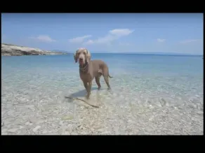 Apartment in Senj near the Sea & Pool - Image 3