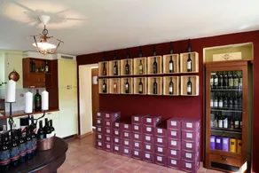 Wine & Art Relais Vallombrosa - Image 4