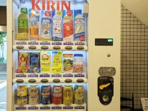 Toyoko Inn Tokyo Kamata No 1 - Image 3
