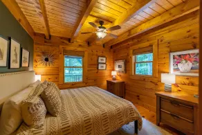Perfect Cabin in the Woods! Hot Tub, Fire Pit, WI-FI, Central A/C - Image 5