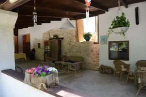 The Legacy of the Olive Trees - Image 5