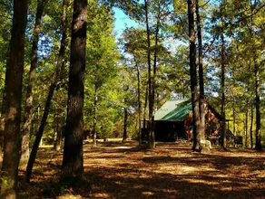 Secluded River Cabin Retreat with Outdoor Bathhouse and Kayaks on 80 acres! - Image 5