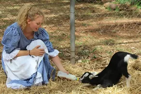 Lake Glenlyon Cottage on Working Farm - Image 3