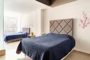Appartement avec internet haut débit - Image 5
