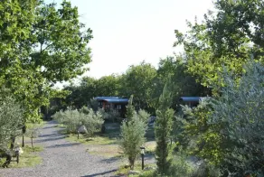 Campingvogn luksus med ubegrænset adgang Private Spa og morgenmad inkluderet - Image 5