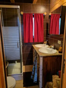 Cozy Cabin in Carpathian Mountains - Image 2