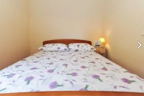 Apartment  Plima, 70 m to the beach, 6 people, free WiFi,parking, terrace, BBQ - Image 5