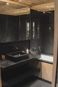 Cozy and brand new apartment in Rougemont - Image 3